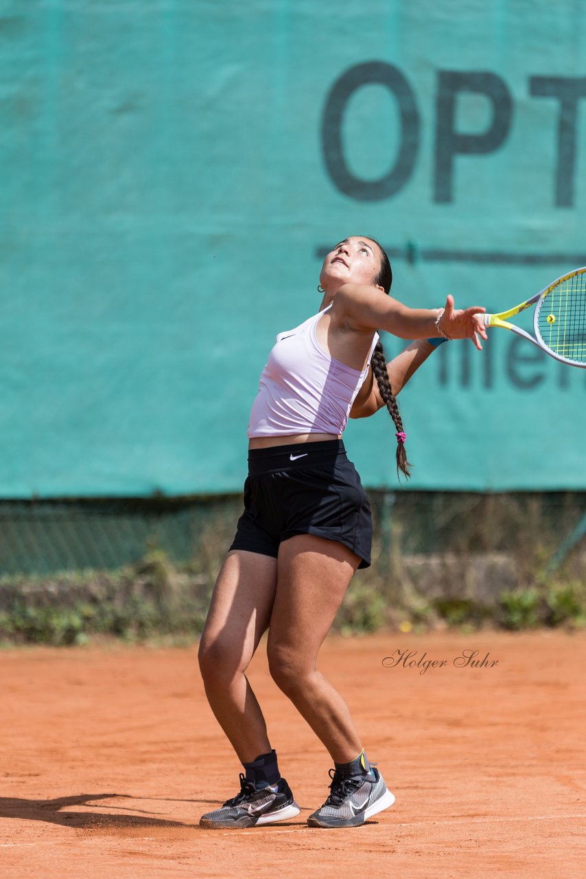 Album: 2024 - 